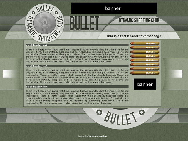 Bullet