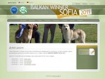 Balkan Winner
